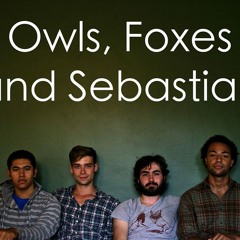 Owls, Foxes and Sebastian