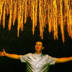 Dill Goddi