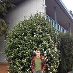 Desmond Paul James Oneill