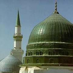 user82208208