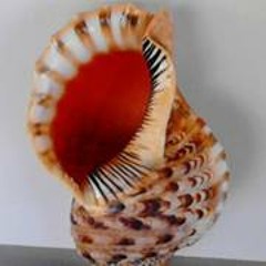 Paul Stephen Zebedee