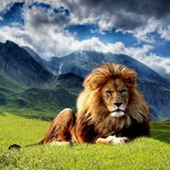 Mickey Louis Desperles