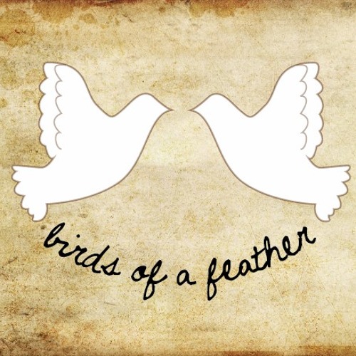 Stream Birds of a Feather Music music Listen to songs, albums