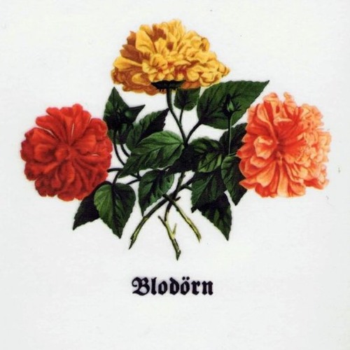 Isorinne - Varseblivning
