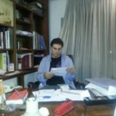 Raul Sopena Llompart