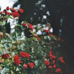 Aya Elwan 2