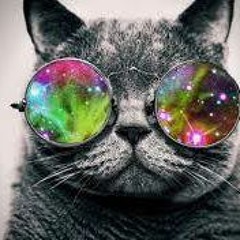 Brenda Clemente Bonilla