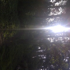 Brigid Dawson & The Mothers Network