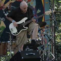 Bald Bassist