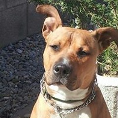 Ivan Ureña Fernandez