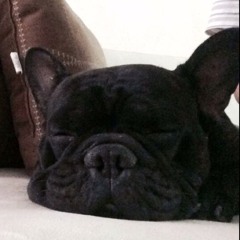 Eblem Echeverria Arroyo