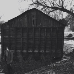 Andrew and the Bison