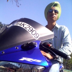Gurveer S.