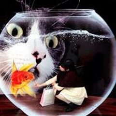 モーニング娘。