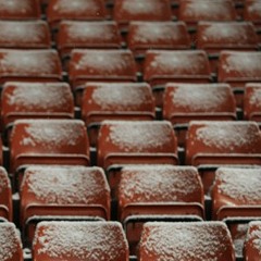 Yedo's Telescopic Head