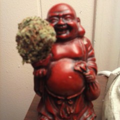 magicbud