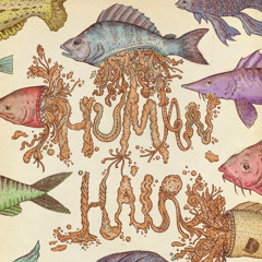 HUMAN HAIR