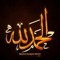 mohamedelsaht