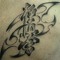 Dariush Fayeq