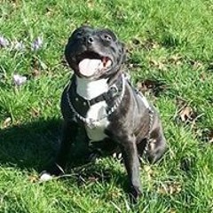 Carol LovesMyboys Rhodes