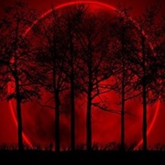 Noqturnal Sunshine Dogan