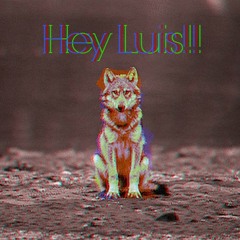Hey Luis!!!(BΛNOVIH)