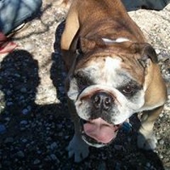 Brian Anderson Bowers