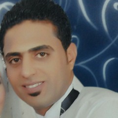 user513286602