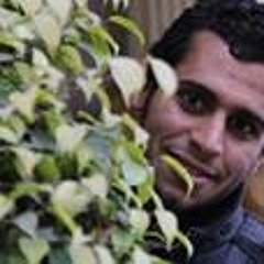 Ahmed Zian