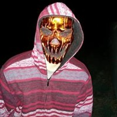 All Sinatra Everything