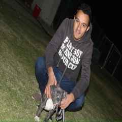 ahmed sofian