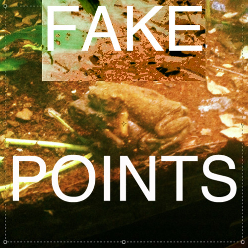 FAKE POINTS’s avatar