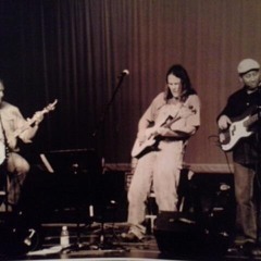 Country Blues Brothers