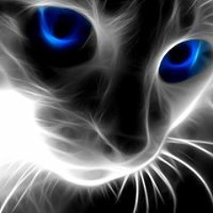 Tarah Knight-Williams