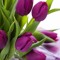 user256131337