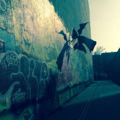 Generation Boomerang