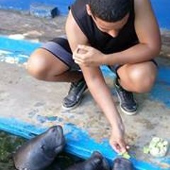 Juan Pablo Huapaya Castro