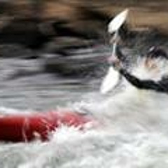 Jose Walter Ferraz 1