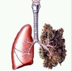 Official Royce Banks