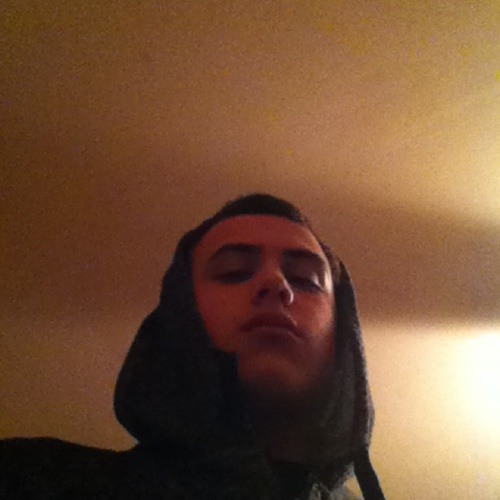 dashiexp
