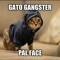Juampi Garcia Barcia