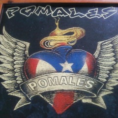 Pomales1991