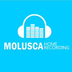 MOLUSCA RECORD