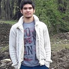 Ramtin Hosseini 1