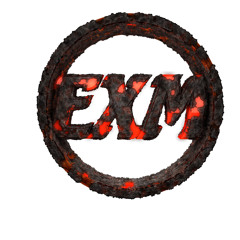 GottiExm