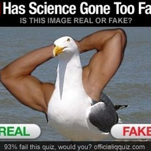 has science gone too far seagull