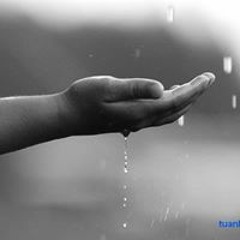Trương Hồ Bảo Việt