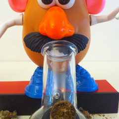 Dr.Papa