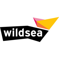 Wild Sea Studio