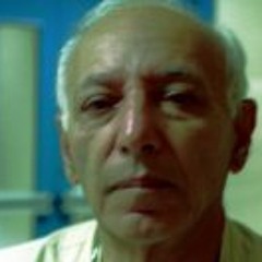 Abdelgawad Fahim